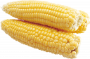 Кукуруза