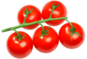 Помидоры png