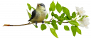 Птица на ветке